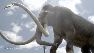 【ウィークエンド・スペシャル】
アニマルプラネット
『密着！ケナガマンモス復活への道』