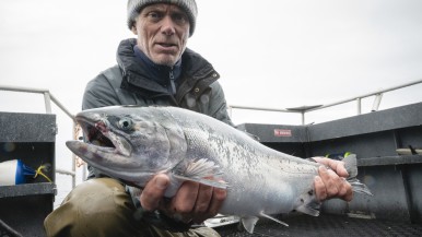 【ウィークエンド・スペシャル】
アニマルプラネット
『ダーク・ウォーターズ』Ep.1 キングサーモンの行方